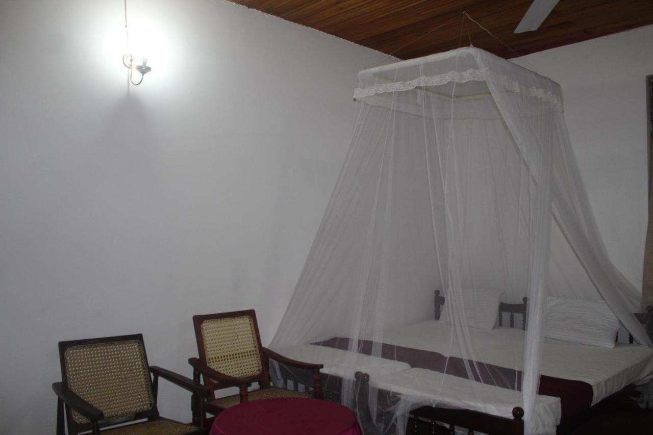 Lazy Bear Best Hostel In קנדי מראה חיצוני תמונה