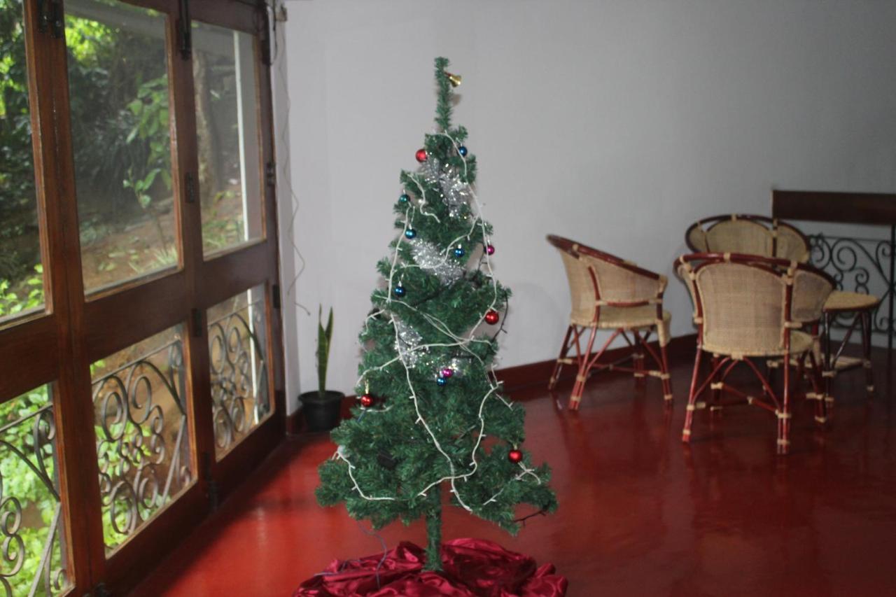 Lazy Bear Best Hostel In קנדי מראה חיצוני תמונה