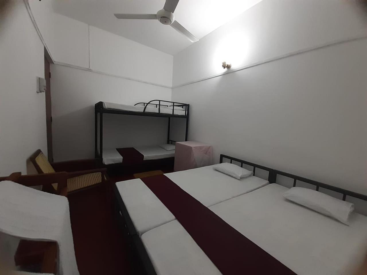Lazy Bear Best Hostel In קנדי מראה חיצוני תמונה