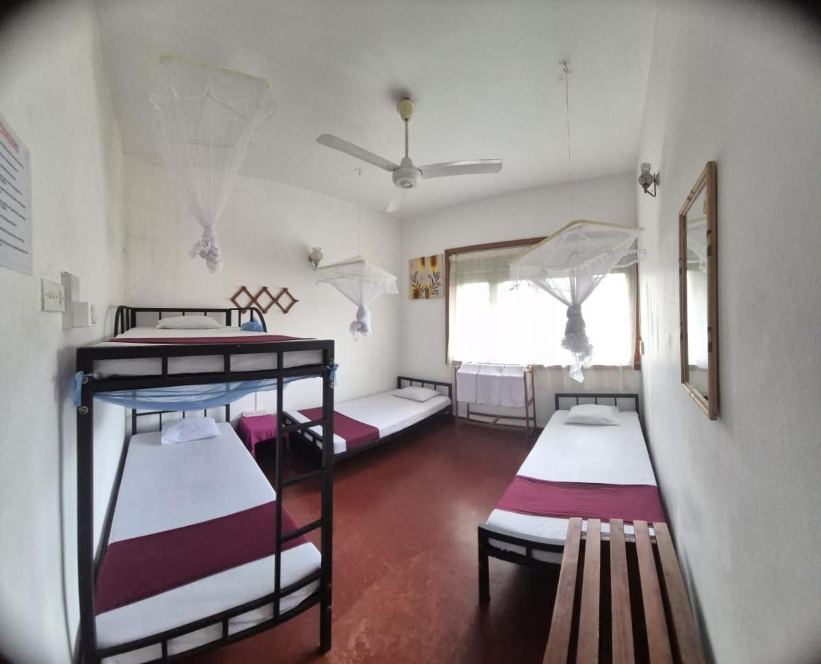 Lazy Bear Best Hostel In קנדי מראה חיצוני תמונה