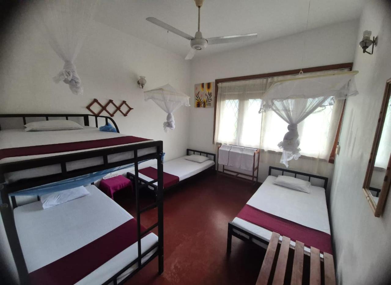 Lazy Bear Best Hostel In קנדי מראה חיצוני תמונה